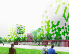 Rotterdam  university